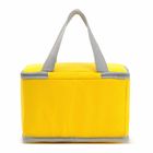 Pantone Insulated Cooler Bags Reusable With Aluminum Film